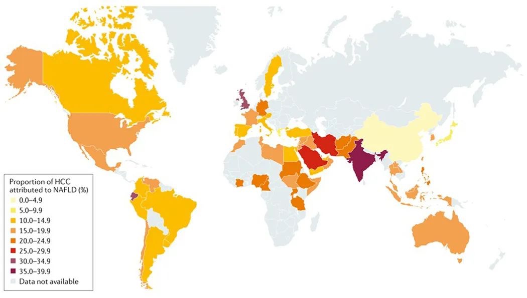 Nature 综述：中国脂肪肝相关肝癌发病率将升高86%，急需预防！